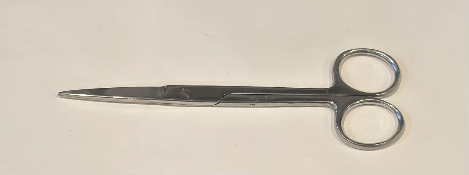 Surgical Style Scissors
