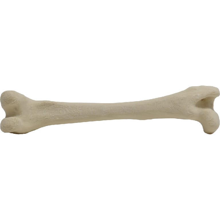 Med Dimensions® Vet Bones, Canine