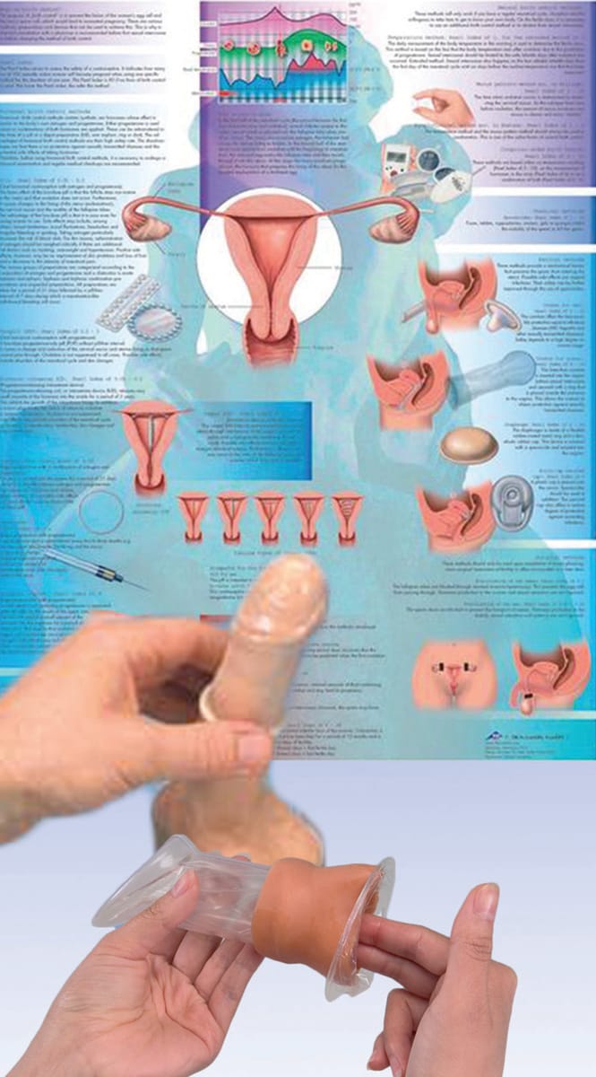3B Scientific® Birth Control Training Bundle