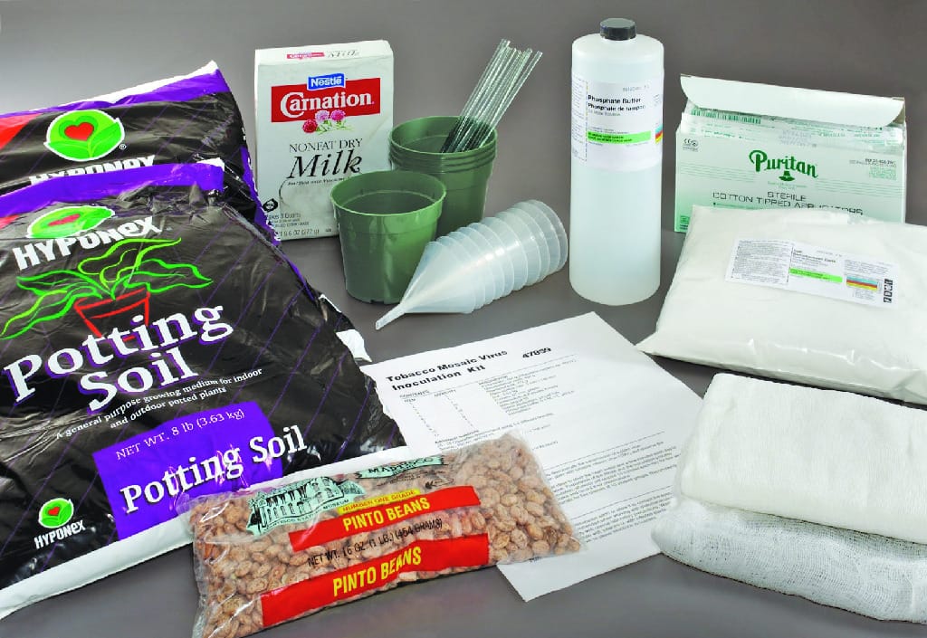 Ward's® Tobacco Mosaic Virus Inoculation Lab Activity