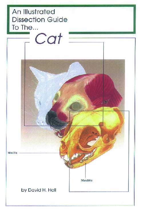 Illustrated Dissection Guides
