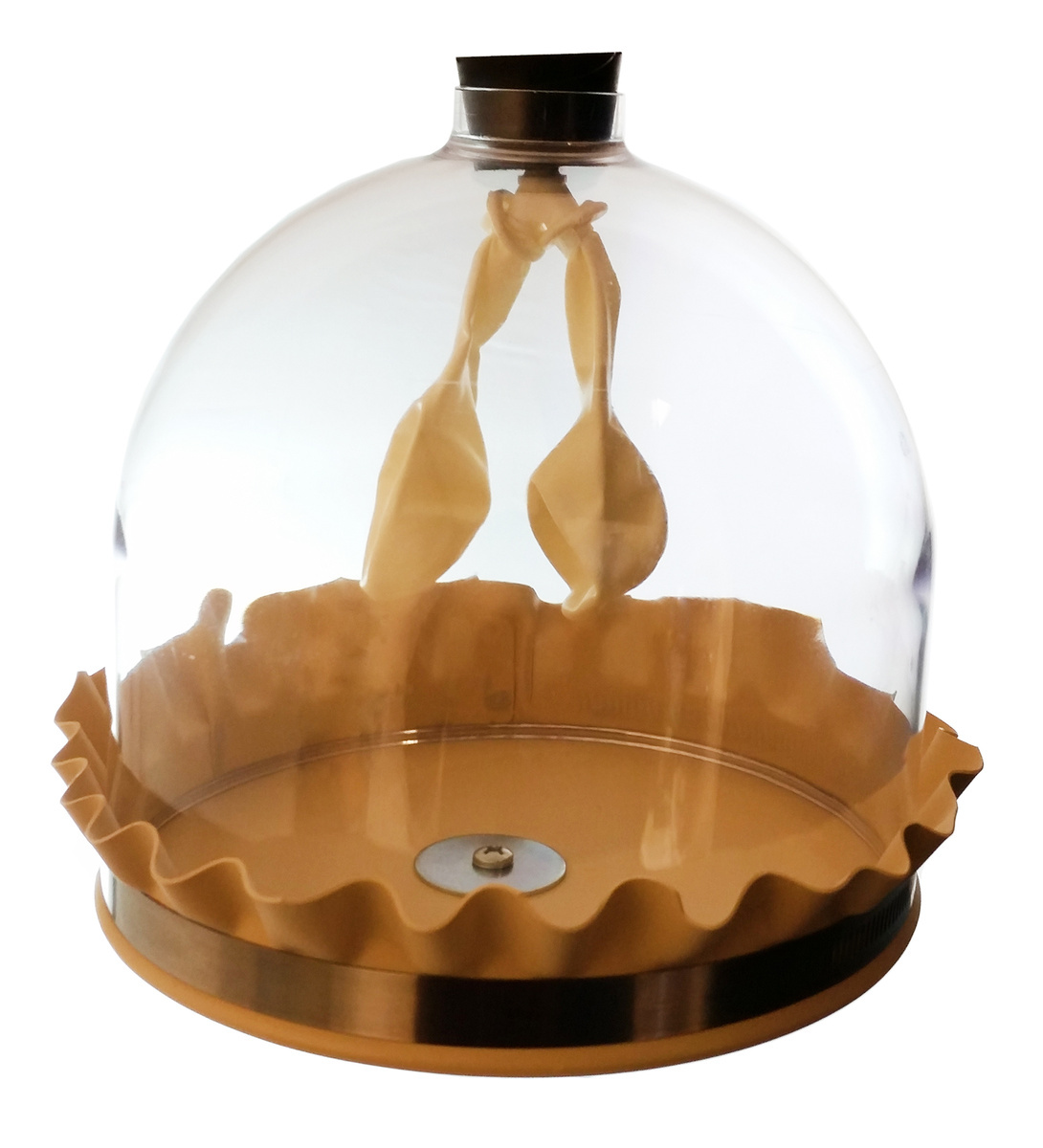 Functional Lung Model