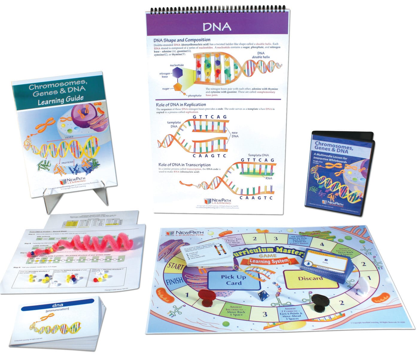 Chromosomes, Genes and DNA Curriculum Learning Module