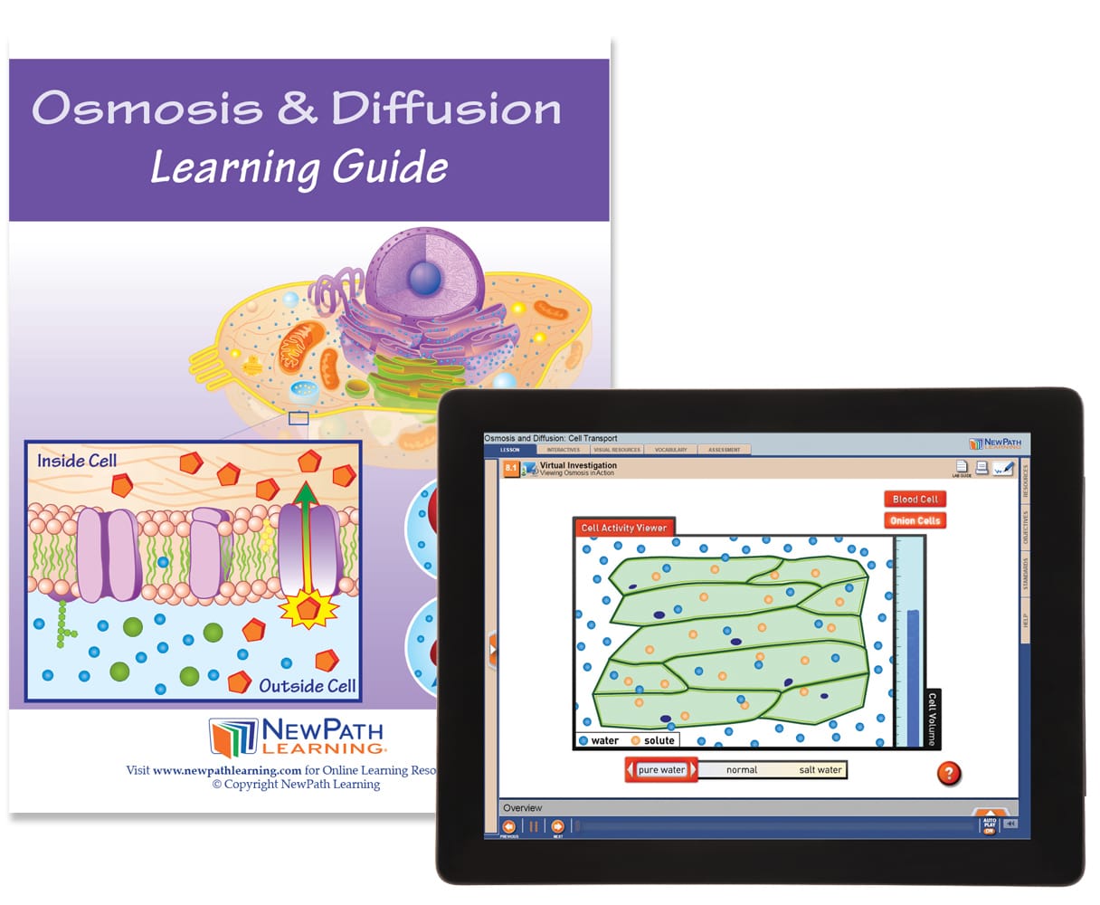 NewPath® Study Guides with Online Lesson