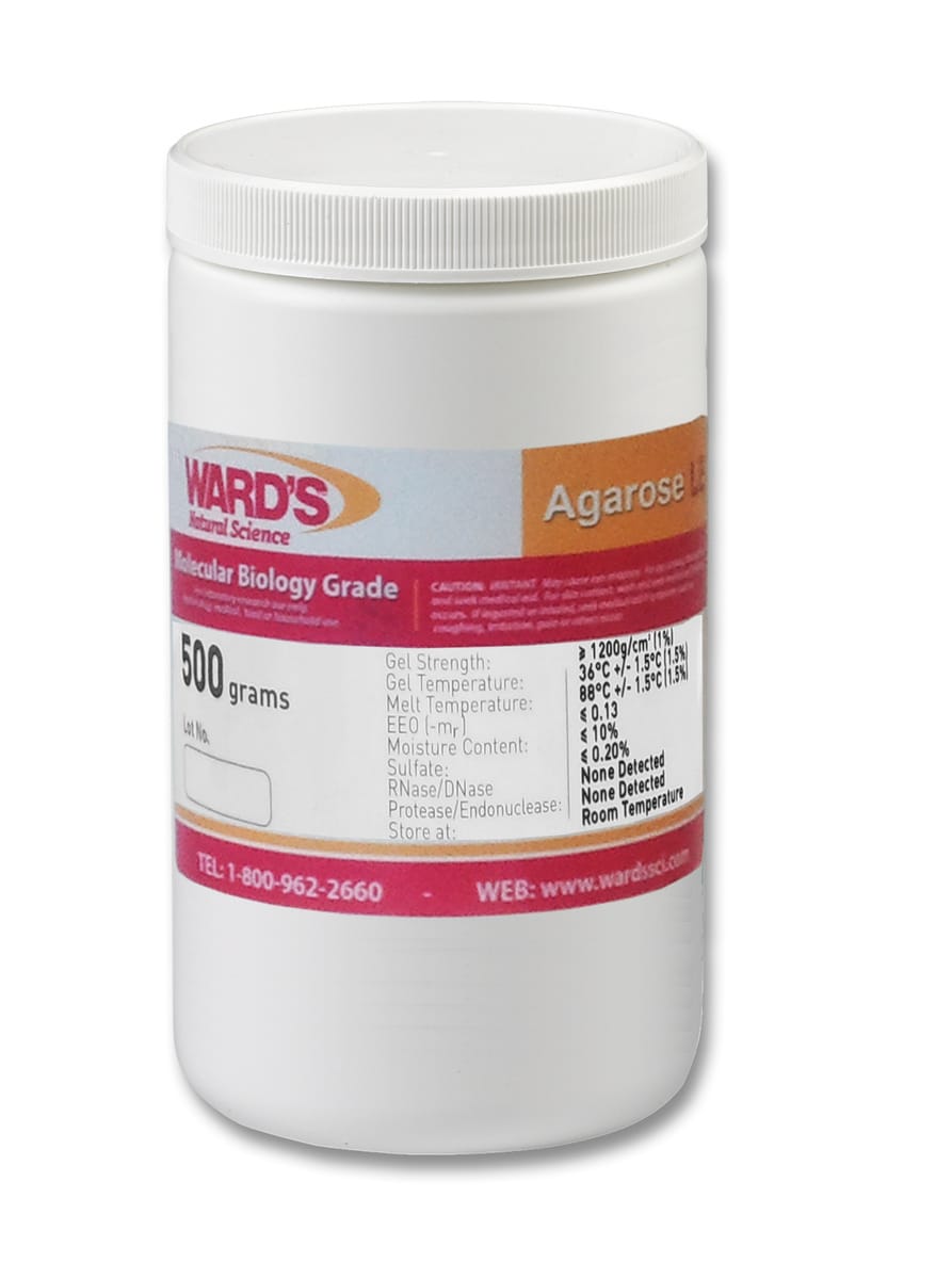 Ward's® Agarose LE