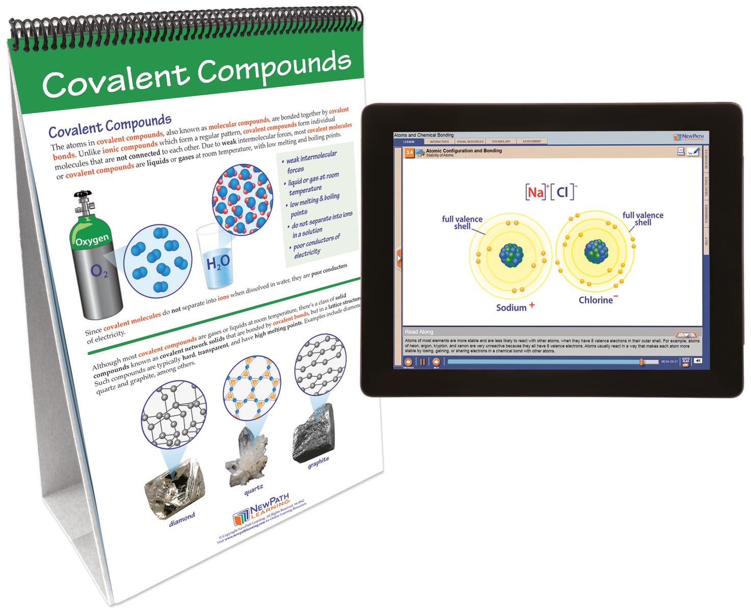 NewPath® Physical Science Skill Builder Flip Charts with Multimedia Lessons