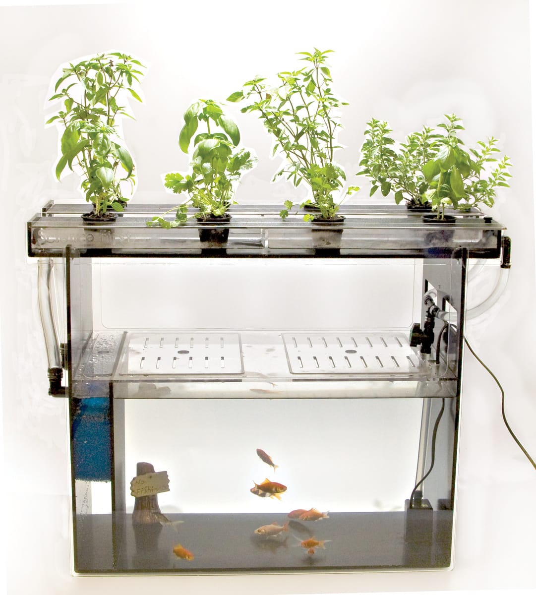 Aquaponics System