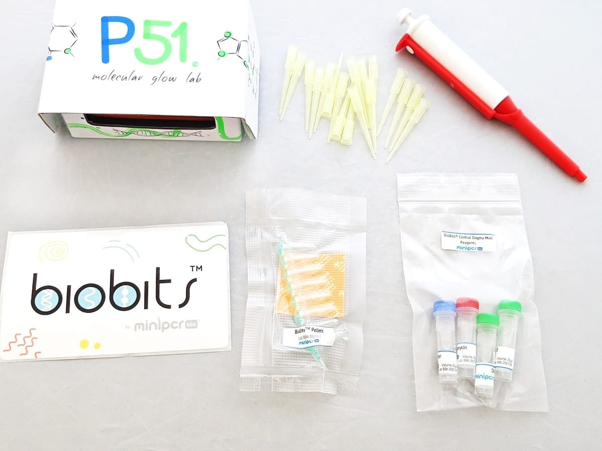 miniPCR&reg; BioBits&reg; @home Central Dogma