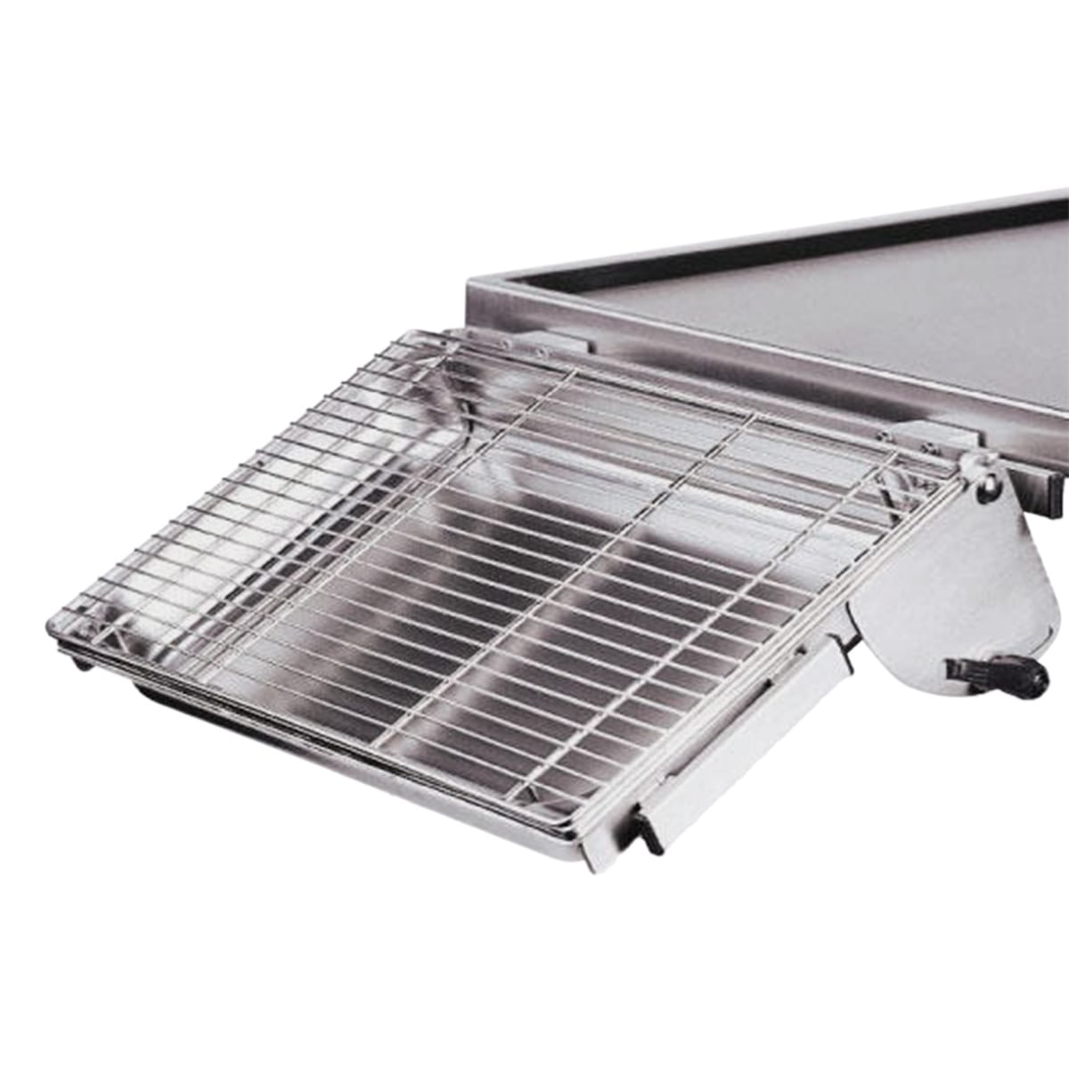 Tilting Stainless Steel Dish with Grid