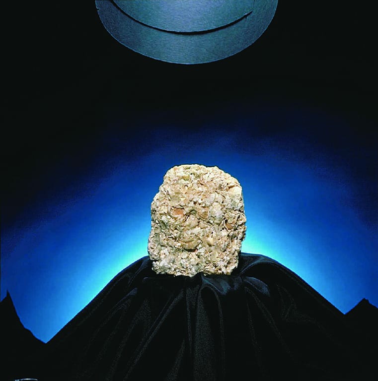 Limestone (Coquina)