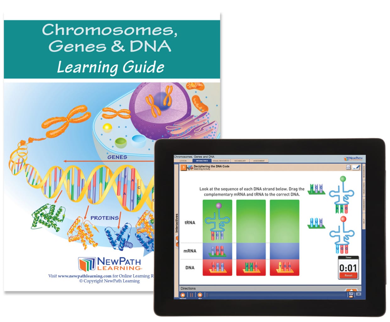 NewPath® Study Guides with Online Lesson