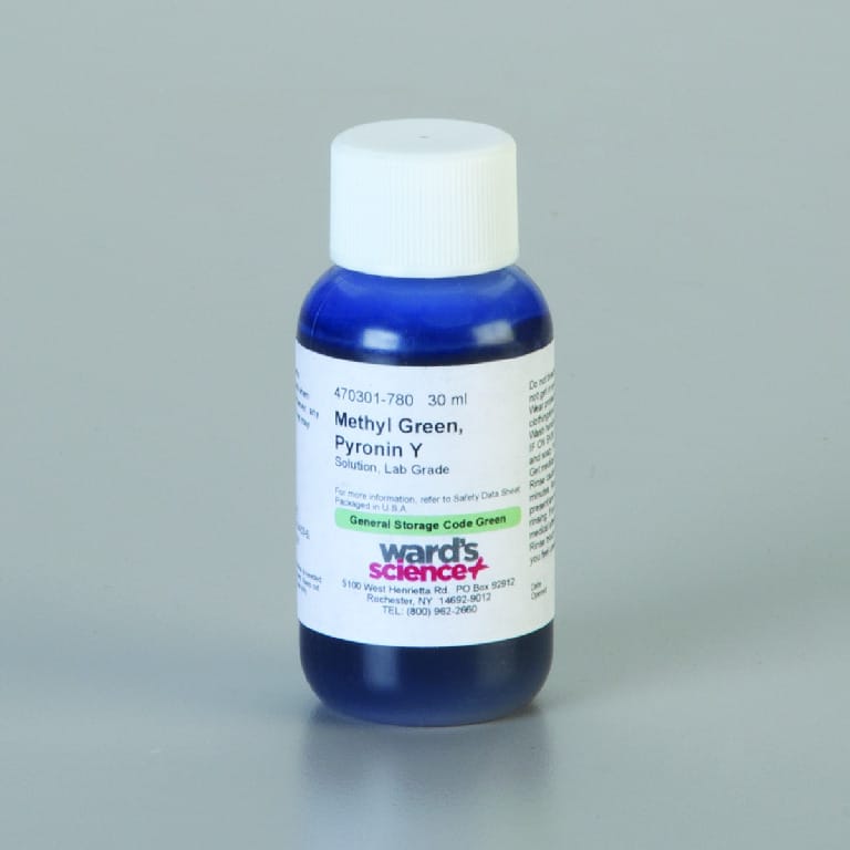 Methyl Green/Pyronin Y