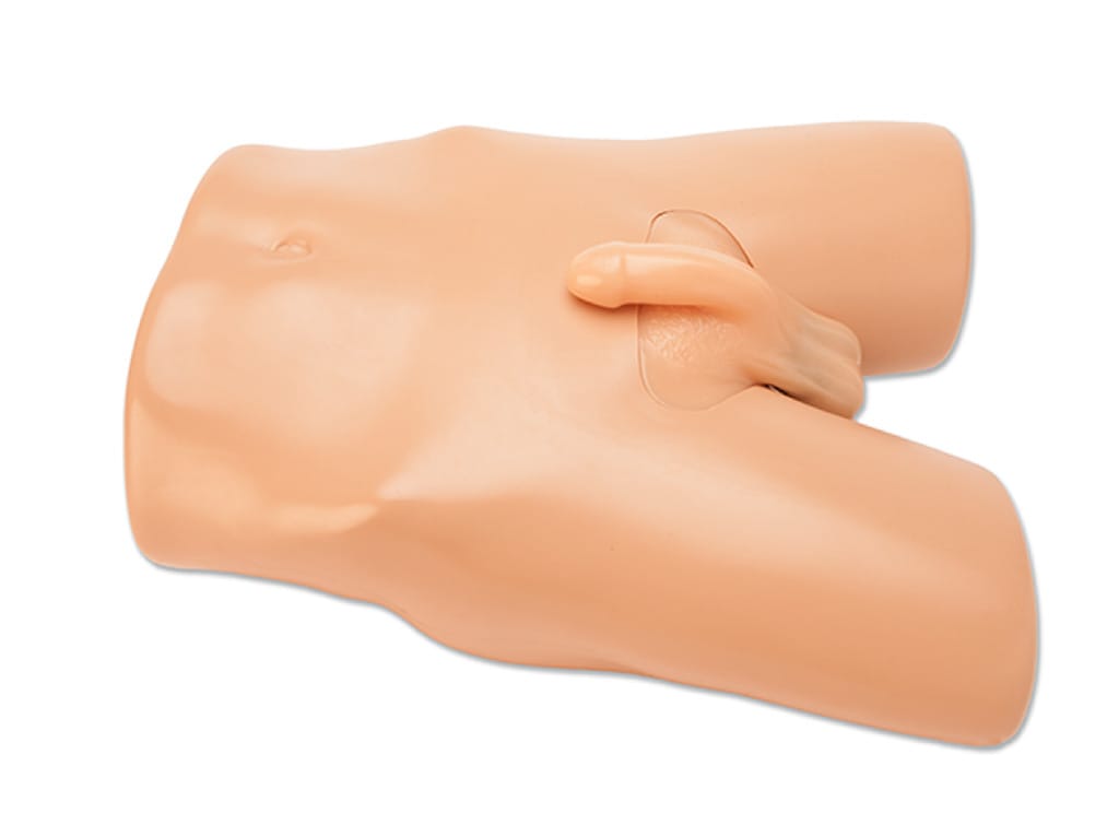 Blue Phantom® Scrotal Ultrasound Trainer