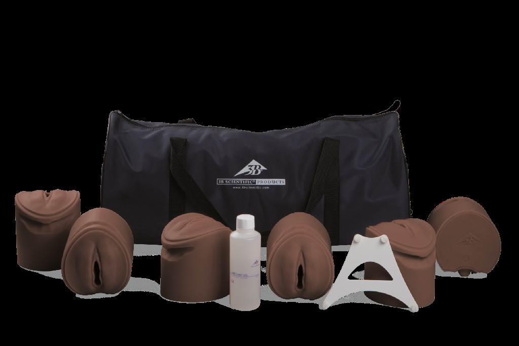3B Scientific® Birthing Stages Trainer