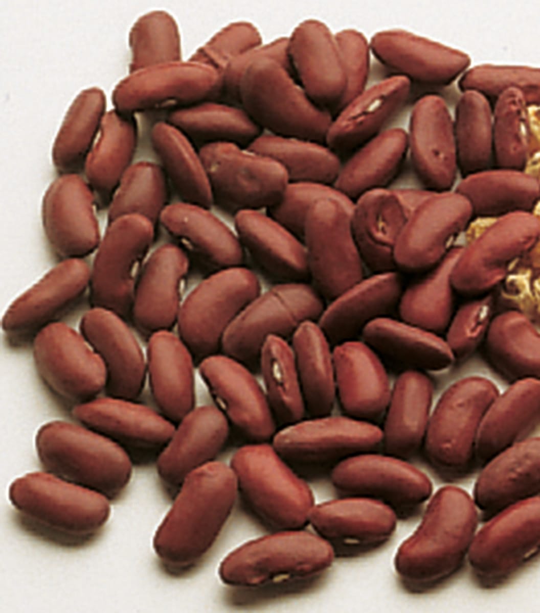 Viable Bean Seeds