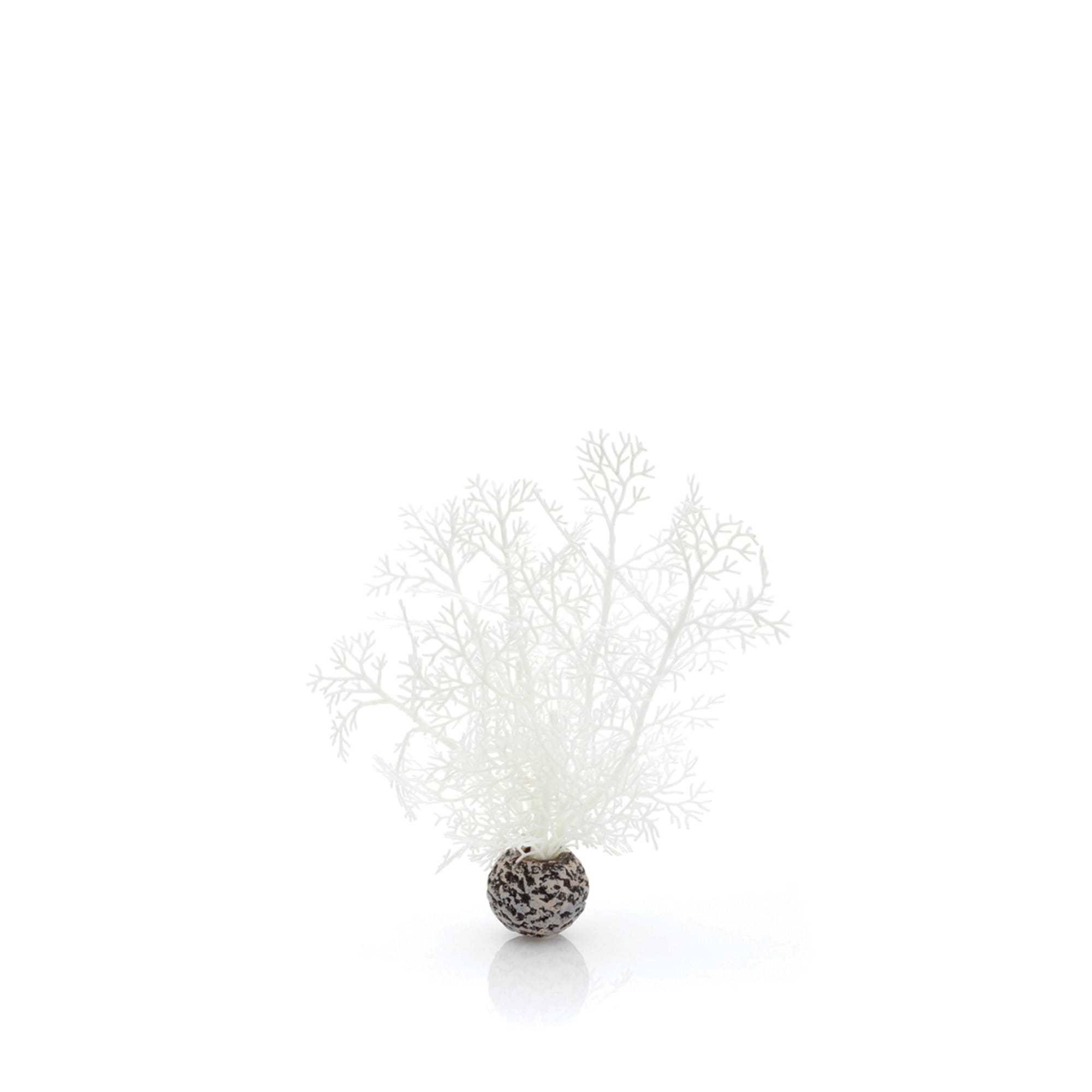 biOrb® Individual Plants