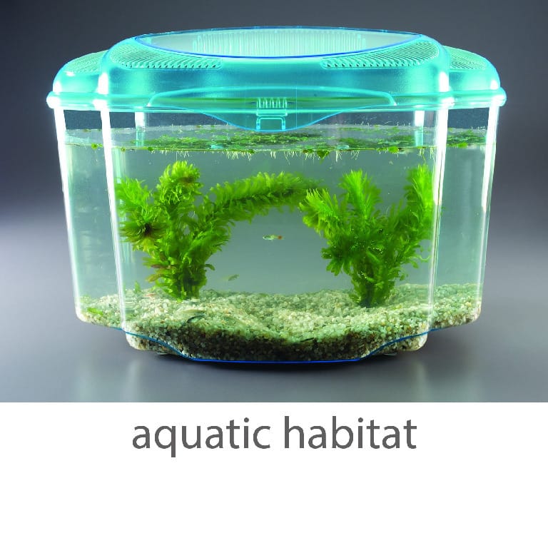 Wards® Mini-Habitat Terrarium Sets