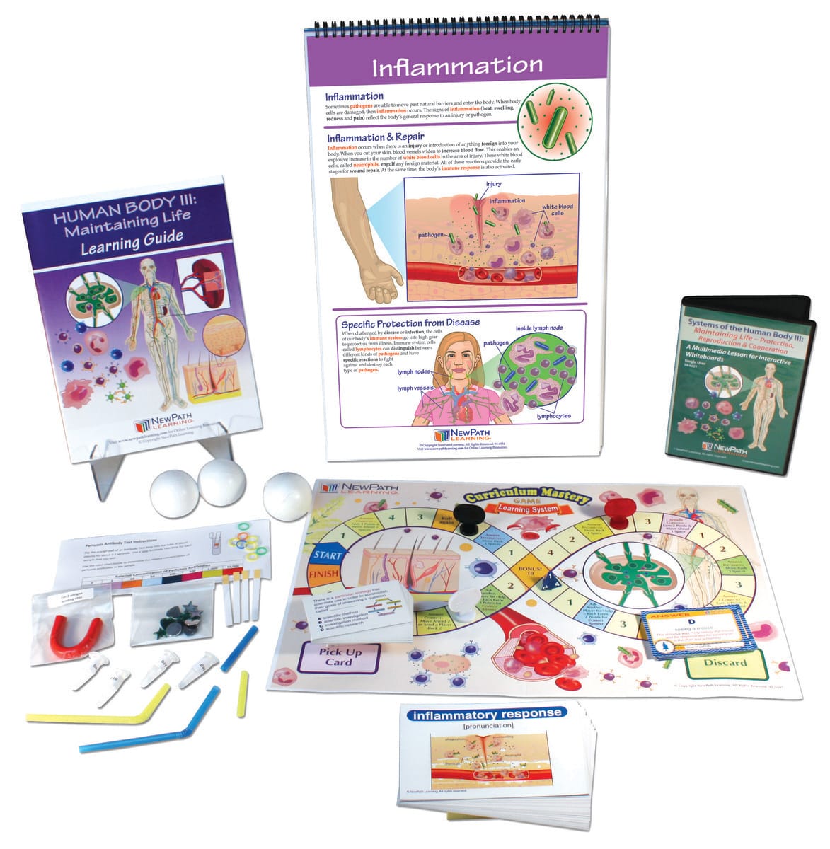 Human Body III: Maintaining Life Curriculum Learning Module