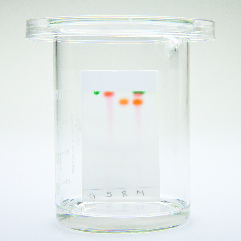 Ward's® AP Chemistry Investigation 5: Thin Layer Chromatography: How Can we Separate a Mixture?