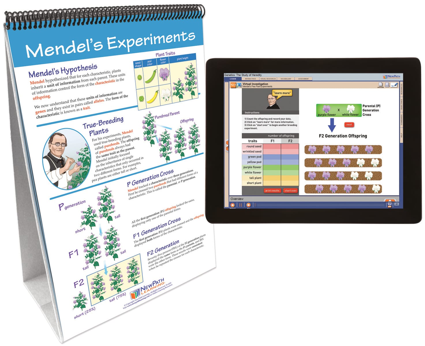 NewPath® Life Science Skill Builder Flip Charts with Multimedia Lessons
