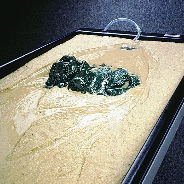 Ward's® Terrain Feature Model