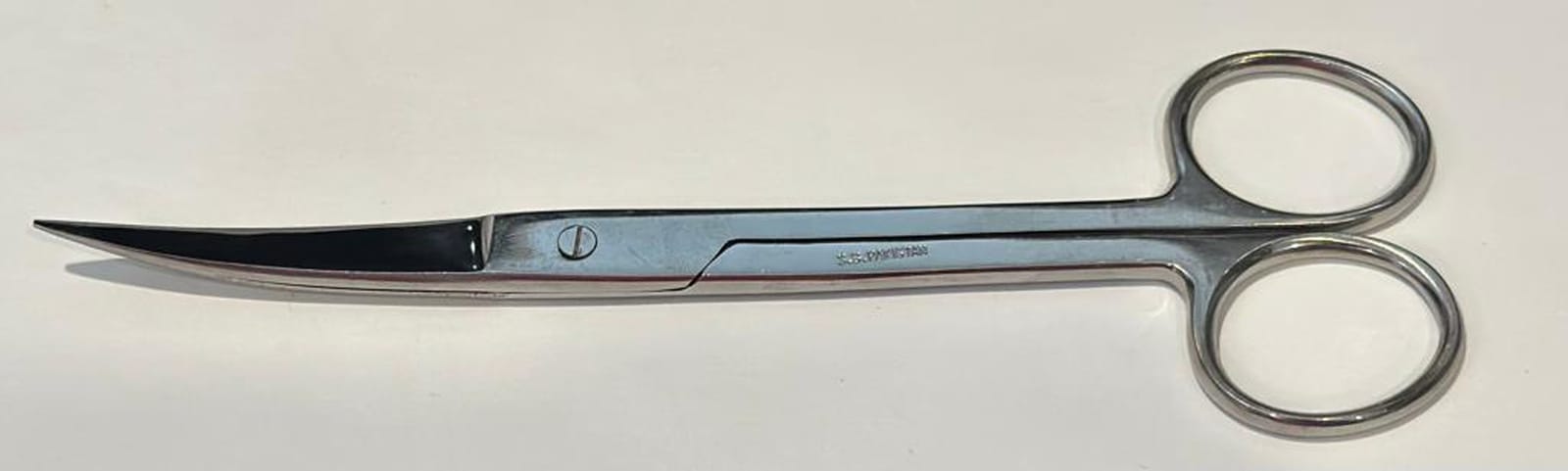 Surgical Style Scissors