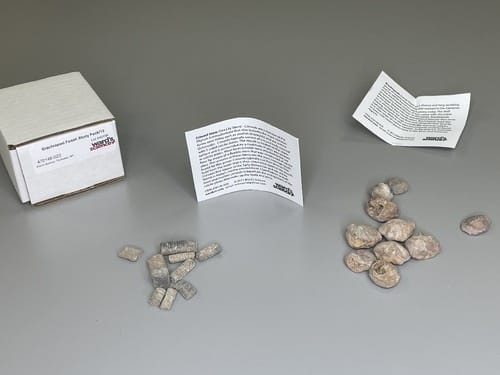 Fossil Study Packs