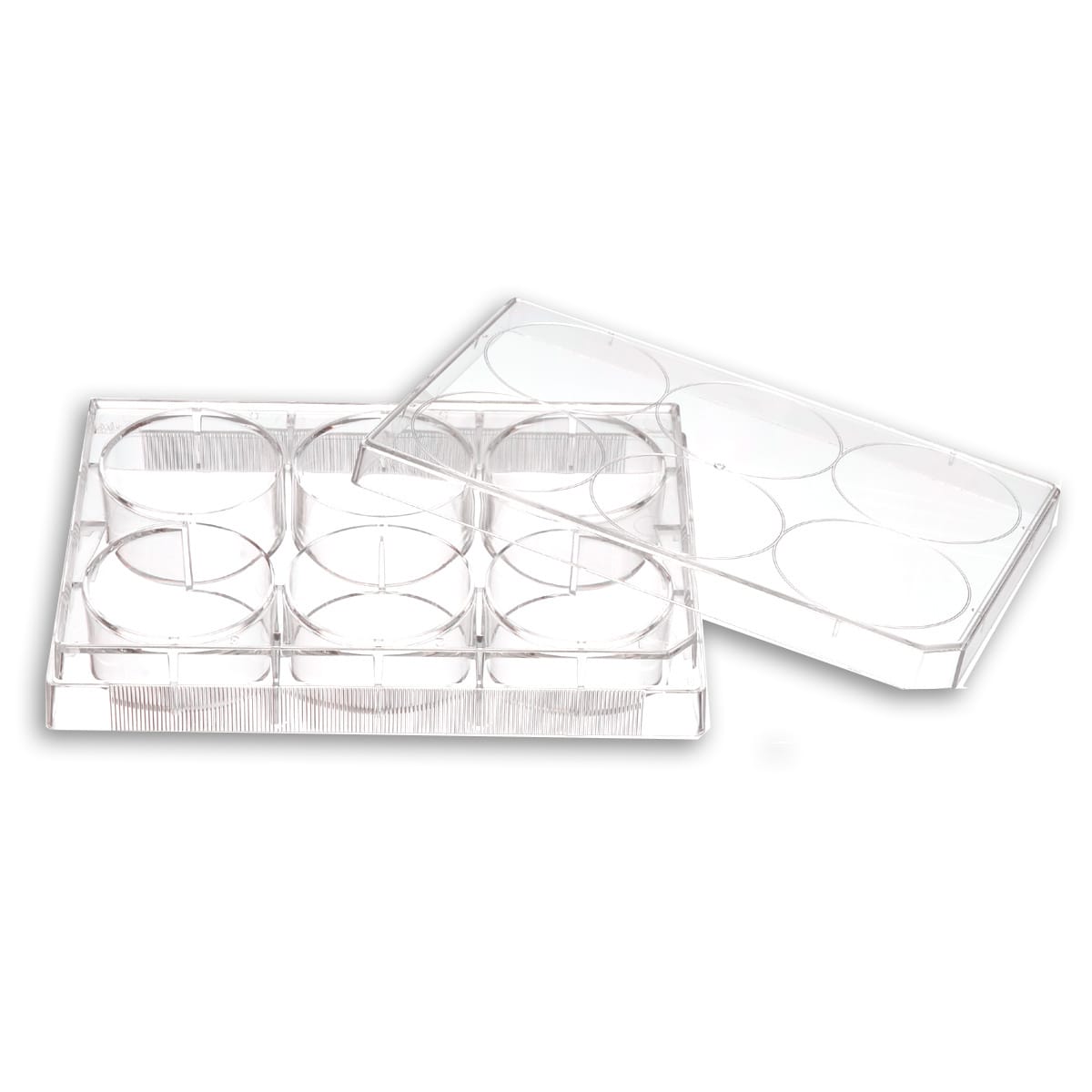 VWR®, Multiwell Cell Culture Plates | VWR, part of Avantor