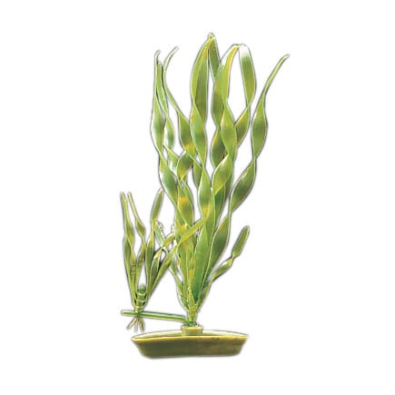 Marina® Artificial Plants
