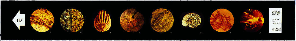 Introduction to Space Microslides