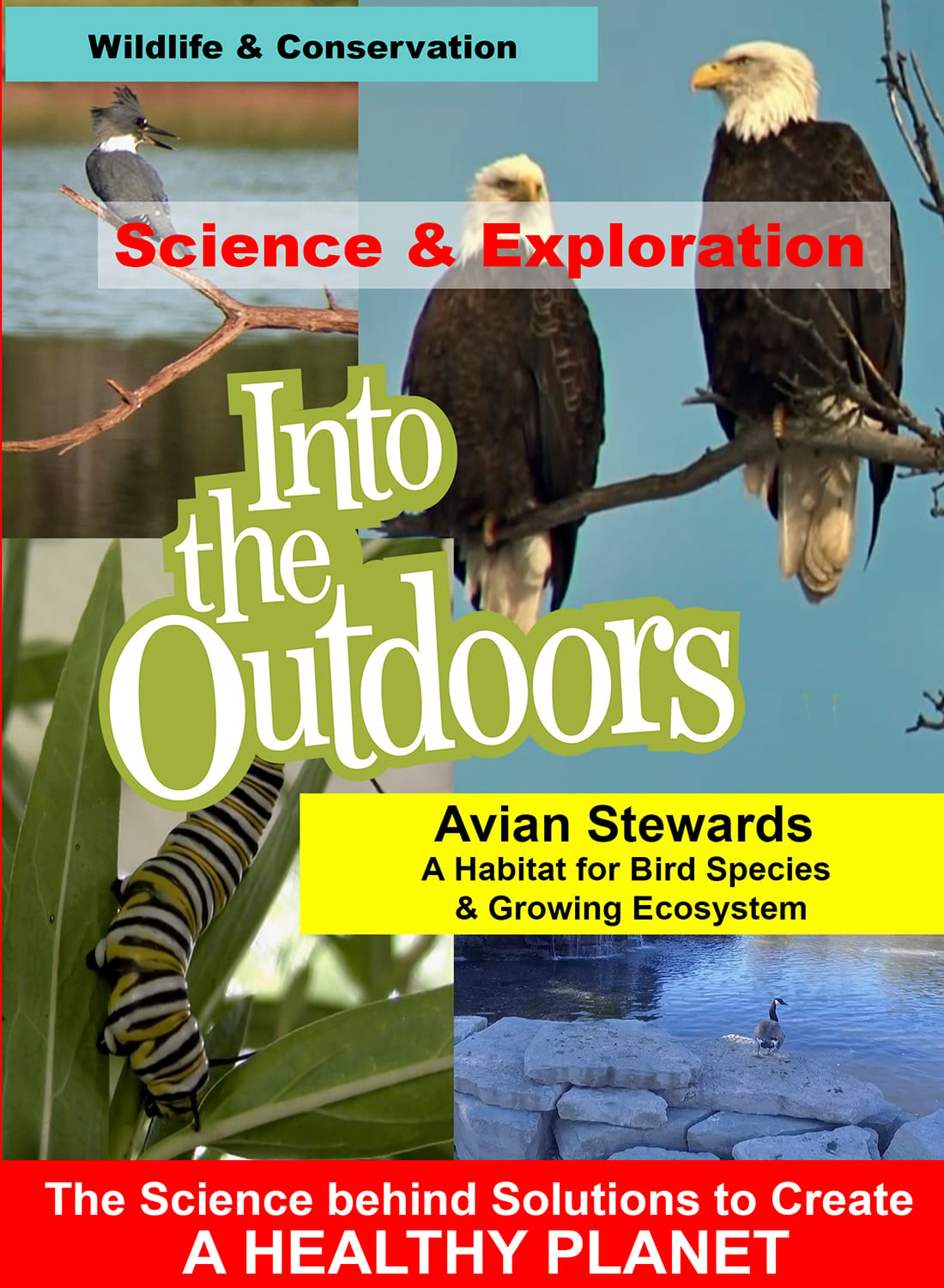 Science and Discovery Into the Outdoors Video Series