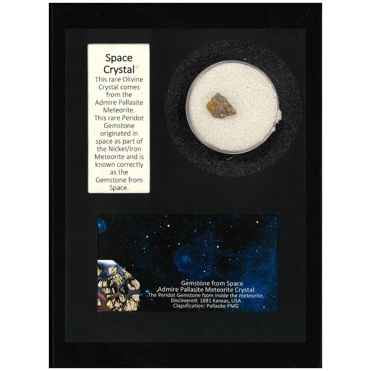 Pallasite Meteorite Display Box