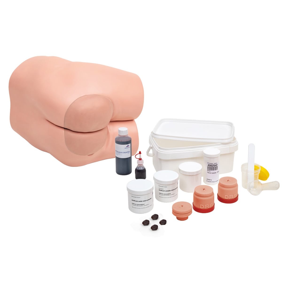 3B Scientific® Bowel Care and&nbsp;Enema&nbsp;Trainer