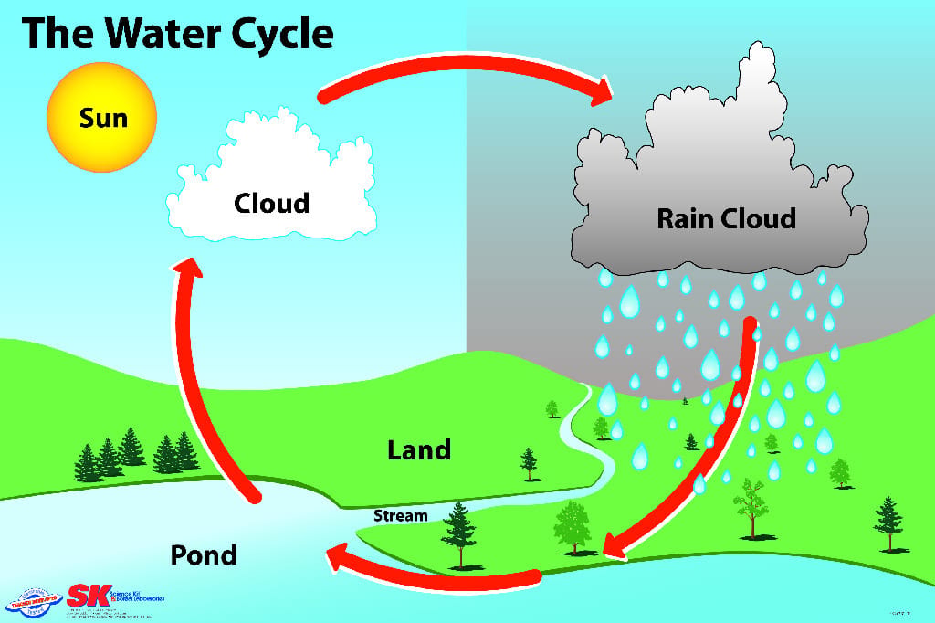 Elementary Water Cycle Poster