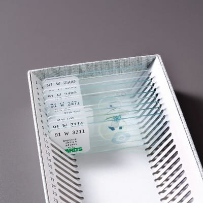 NYS Investigations Grade 8 Slide set for 'It's Alive!'