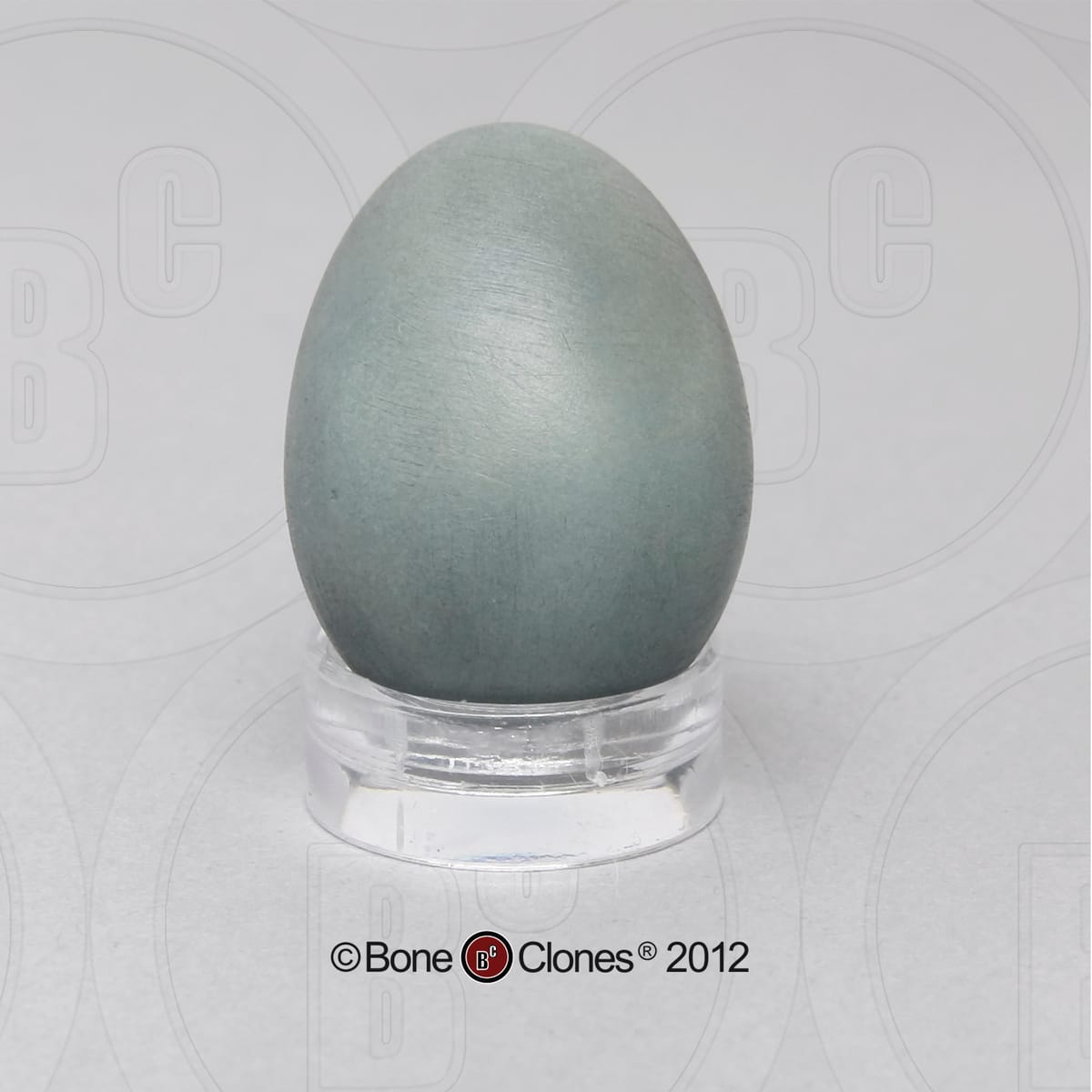 Bone Clones® North American Bird Eggs