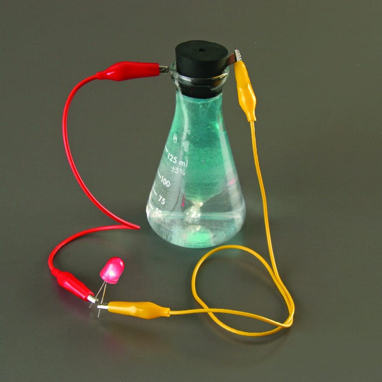 Ward's® Chemical Battery Demonstration