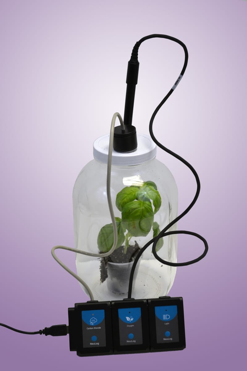 Photosynthesis and Respiration Chamber Demonstration