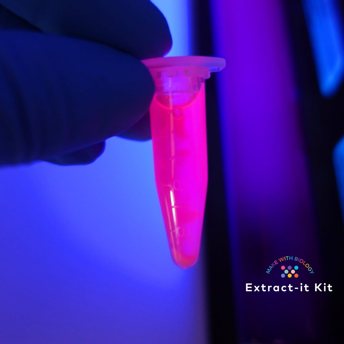 Amino Labs Extract-It Kit™