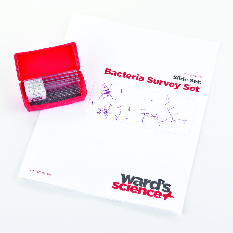 Bacteria Survey Slide Set