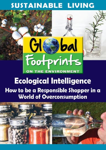 Global Footprints On The Environment Video Series