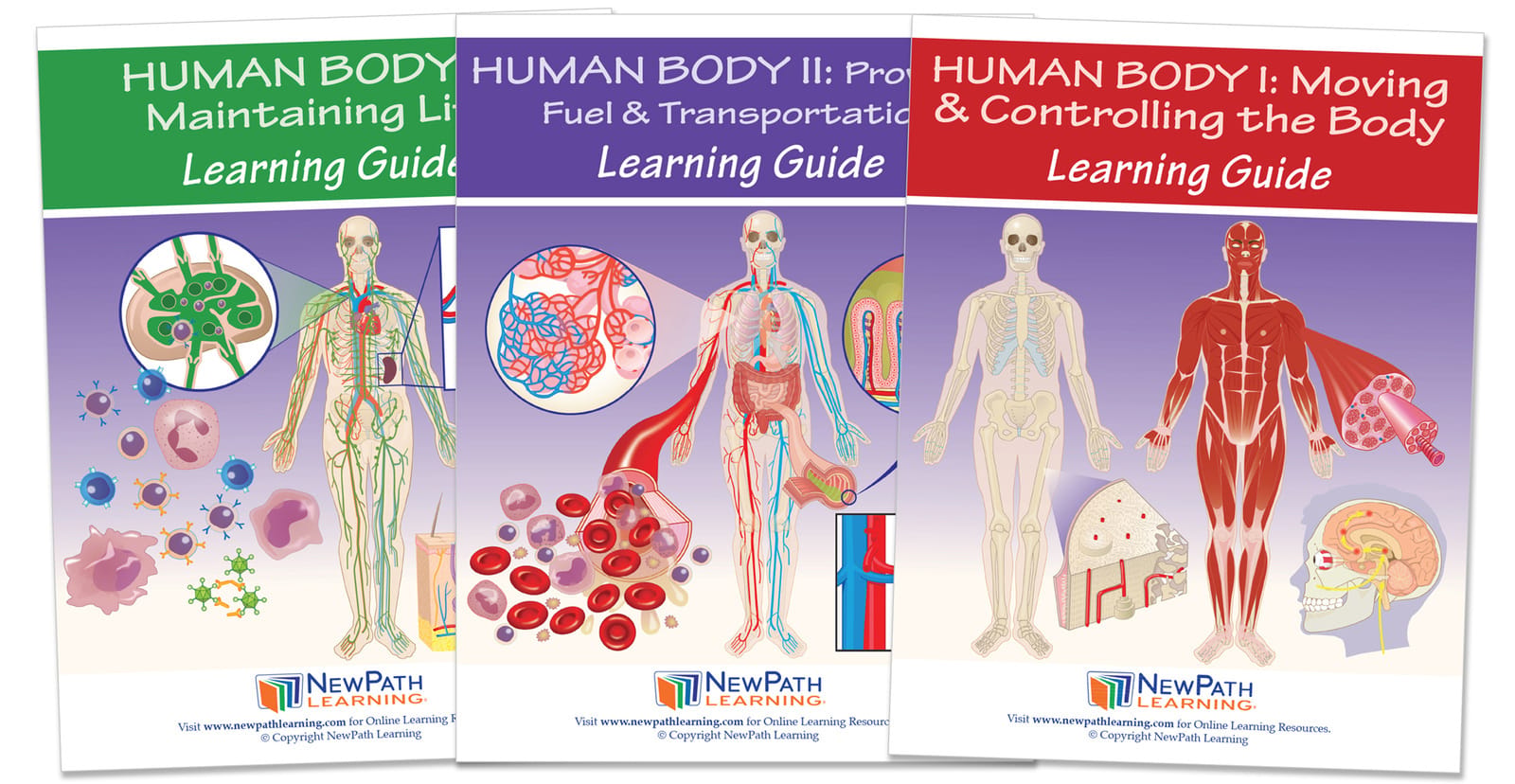 NewPath® Study Guides with Online Lesson