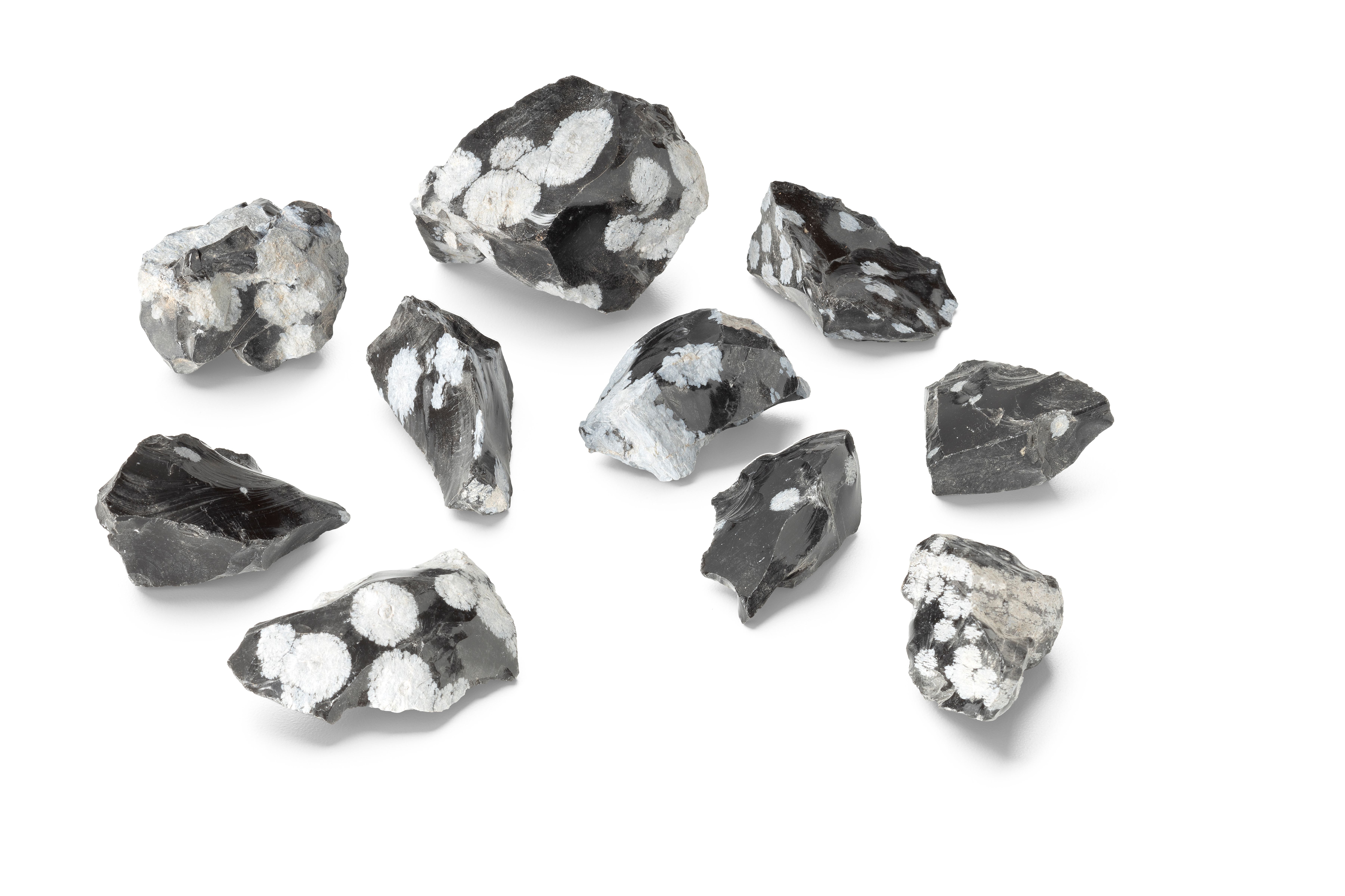 Ward's® Snowflake Obsidian (Cristobalite), Student Specimens