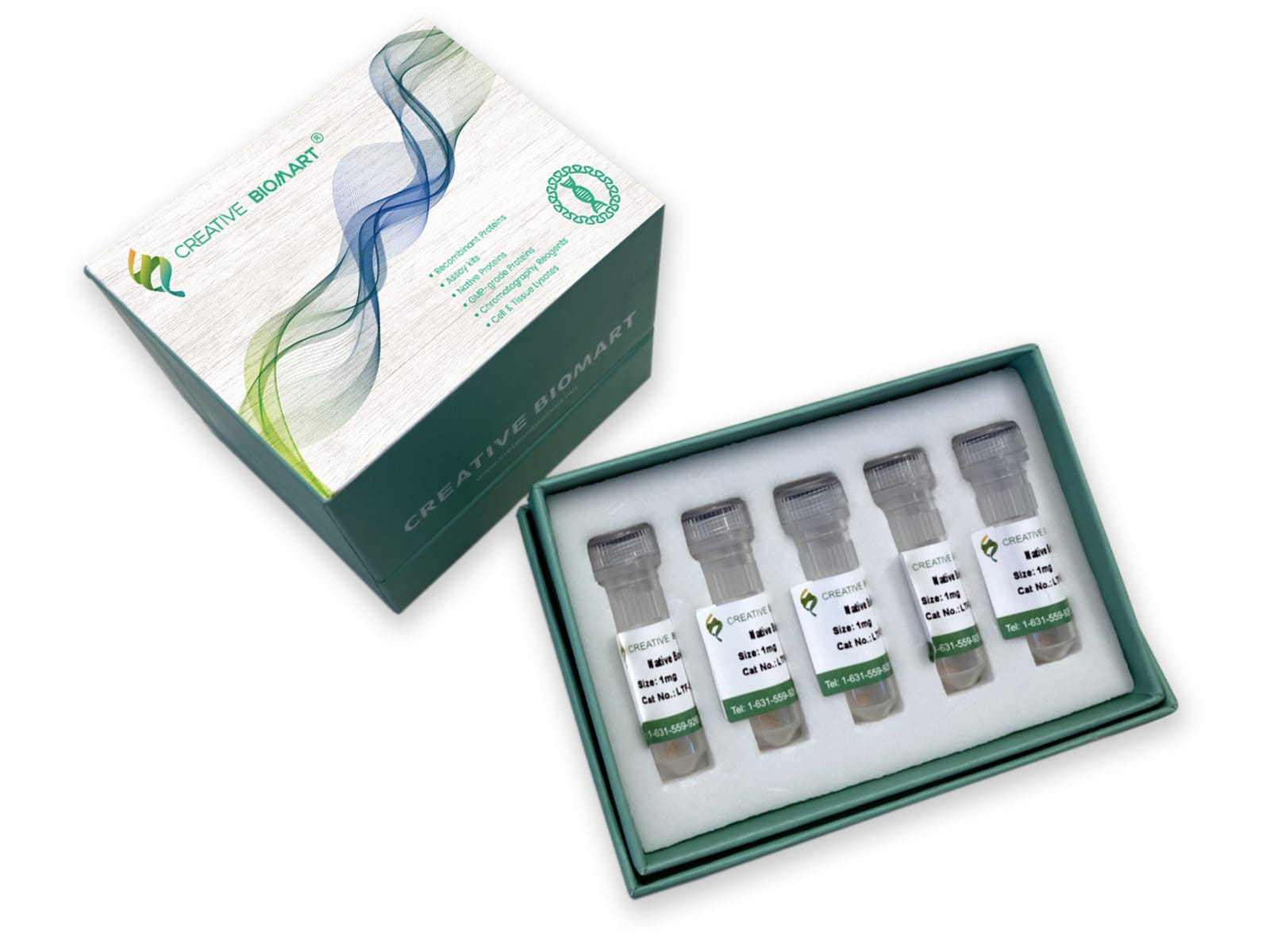 Macaca mulatta Recombinant IL6R (from HEK293 cells) | VWR, part of Avantor