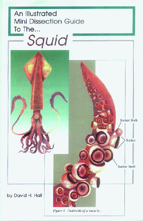 Illustrated Dissection Guides