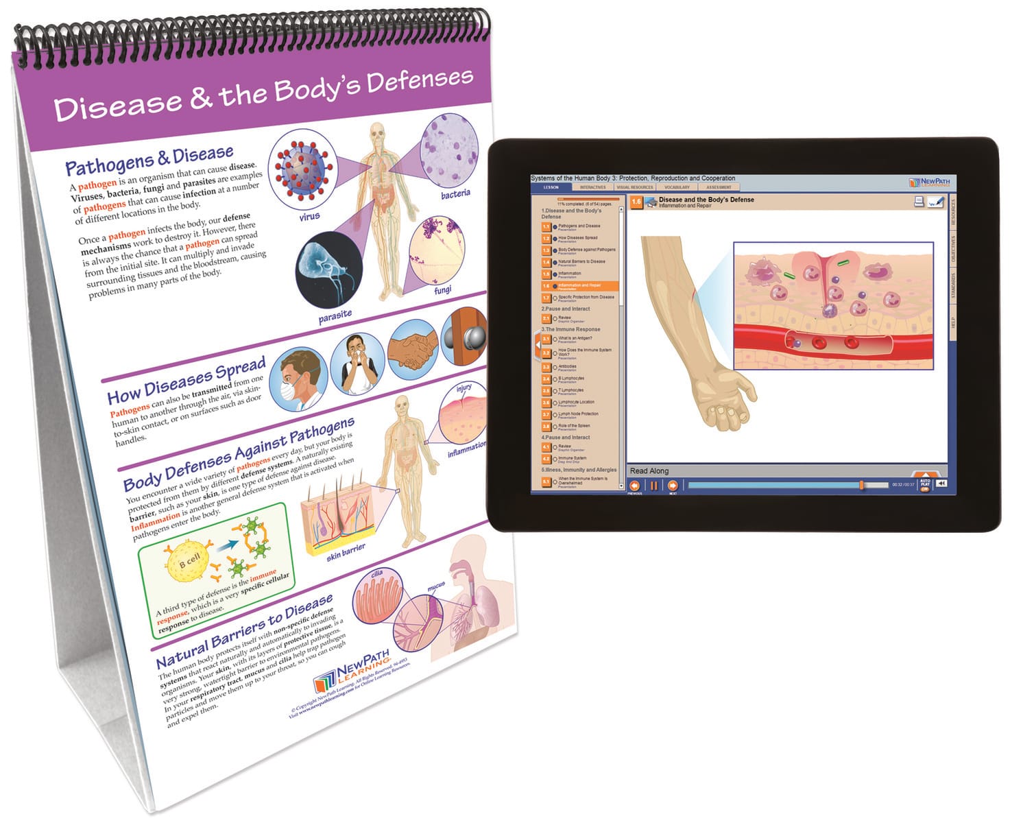 NewPath® Life Science Skill Builder Flip Charts with Multimedia Lessons