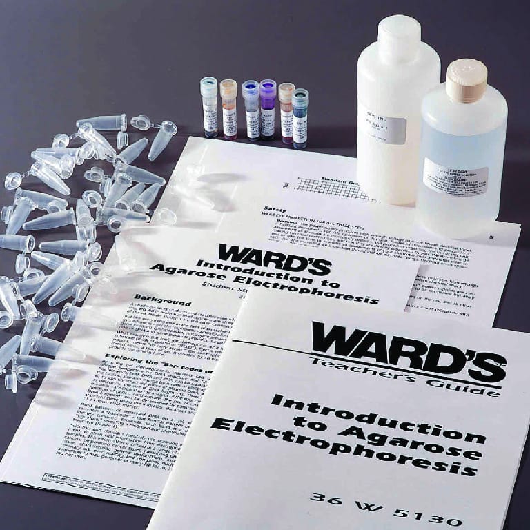 Ward's® Introduction to Agarose Gel Electrophoresis Lab Activity