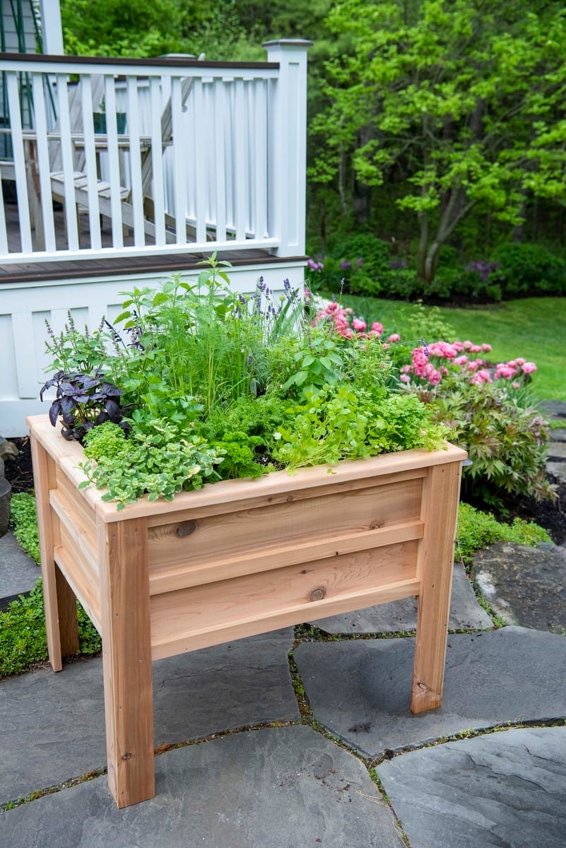 Gardener's Supply Company Craftsbury Elevated Raised Beds