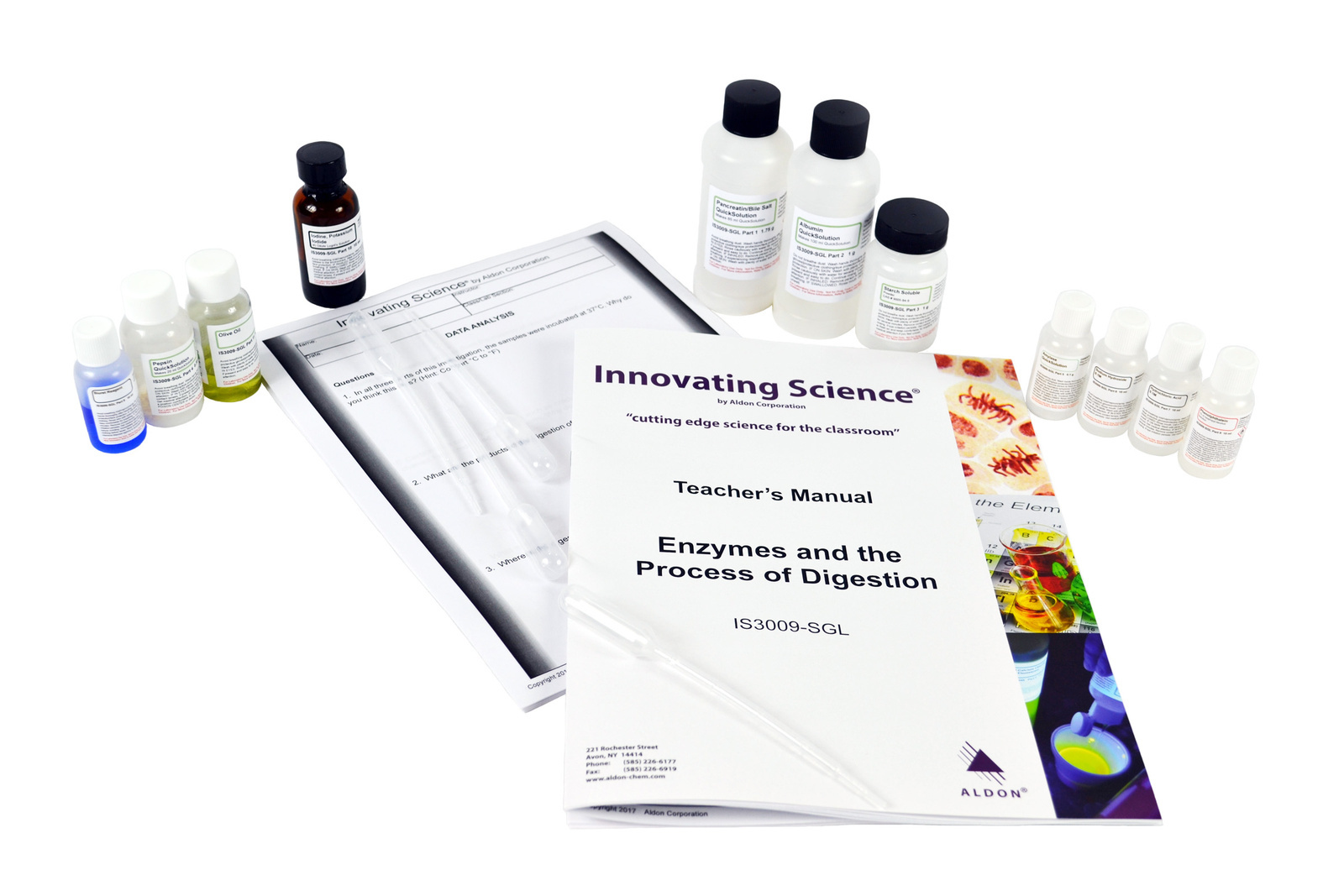 Innovating Science® Enzymes and the Process of Digestion