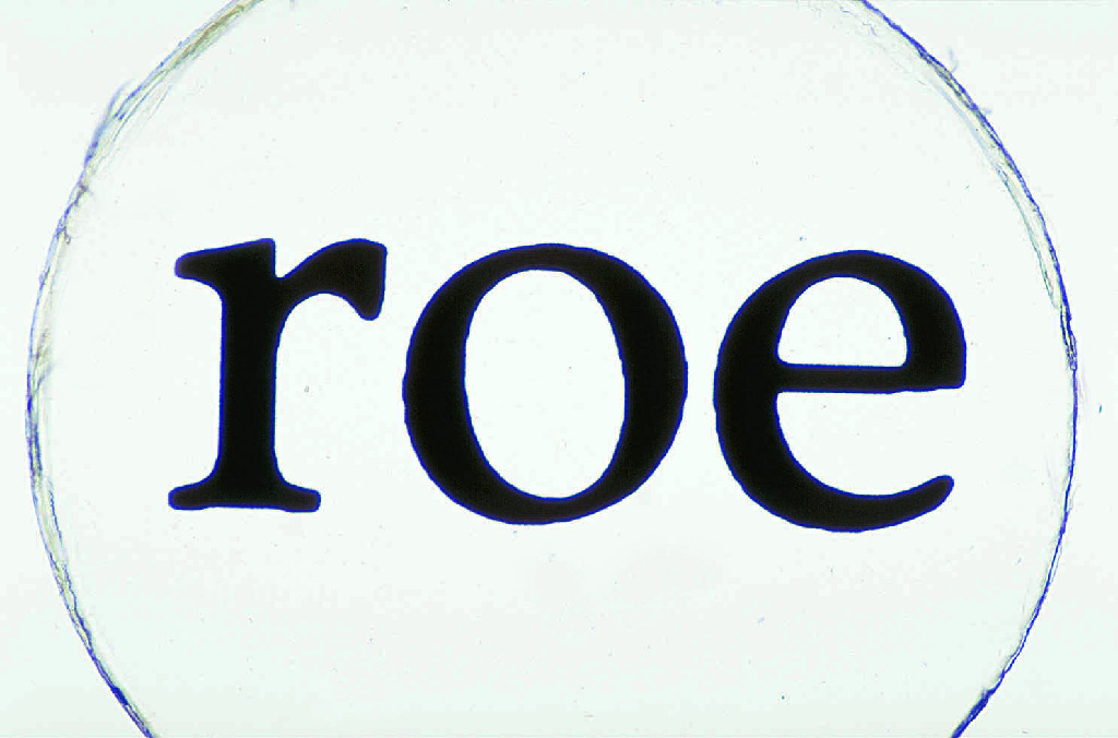 Ward's® Introduction To Microscopes Slides